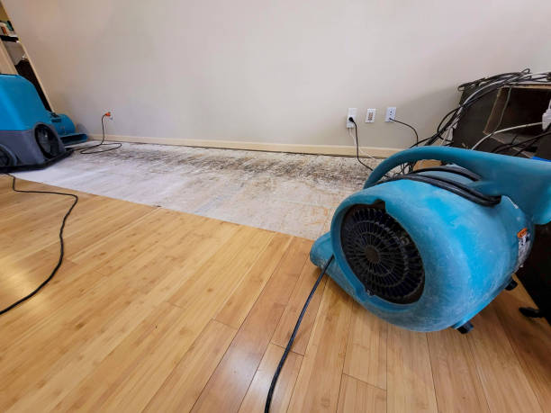 Professional Water Removal technician working in Pantego, TX